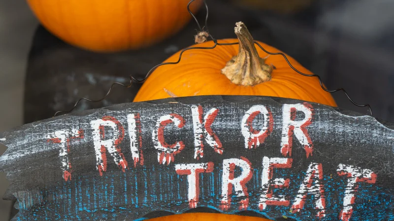 Trick or Treat Wooden Sign Hand Painted with Hanging wire. Limited Stock​